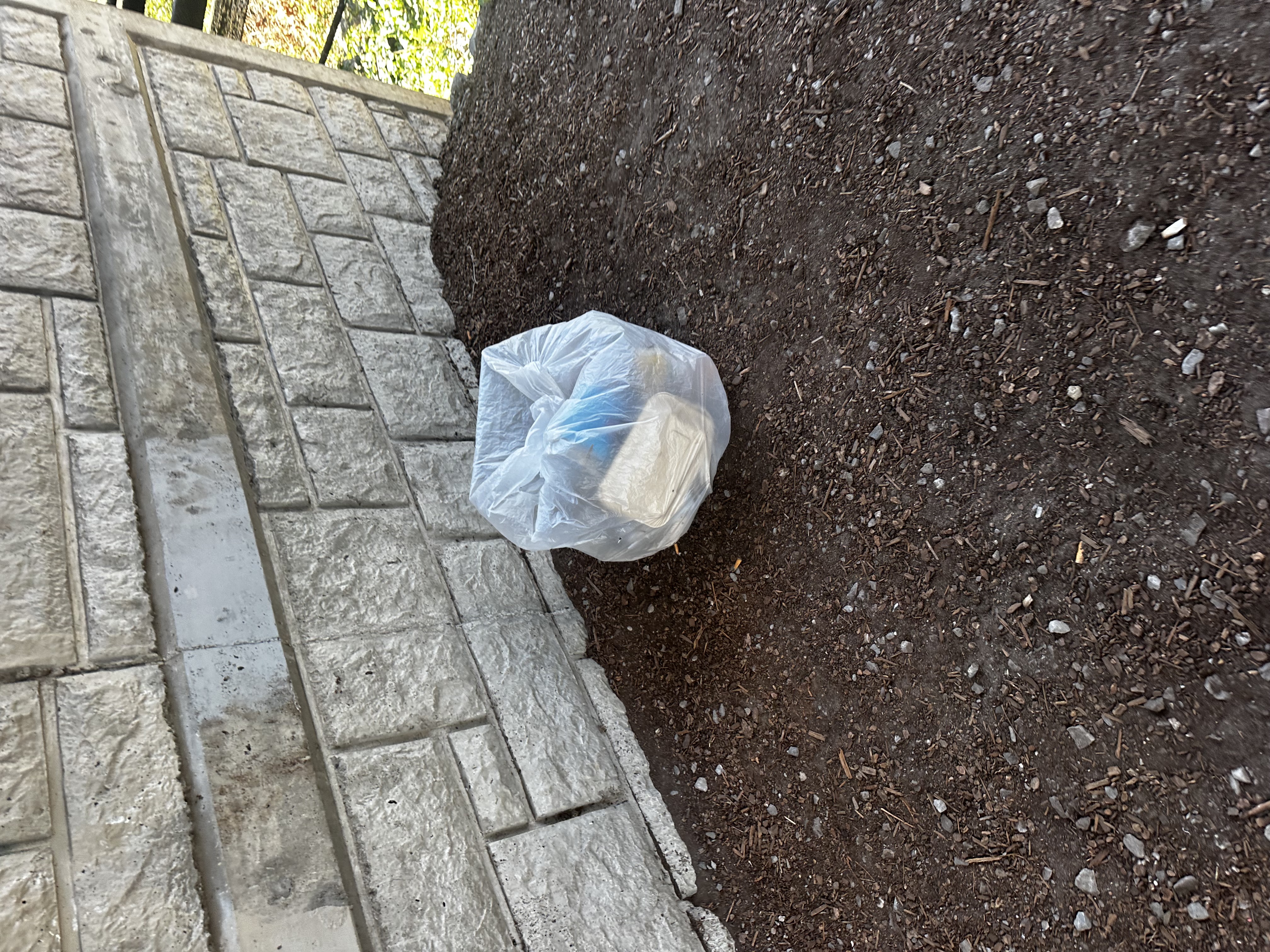 Litter left on under TriMet Bridge