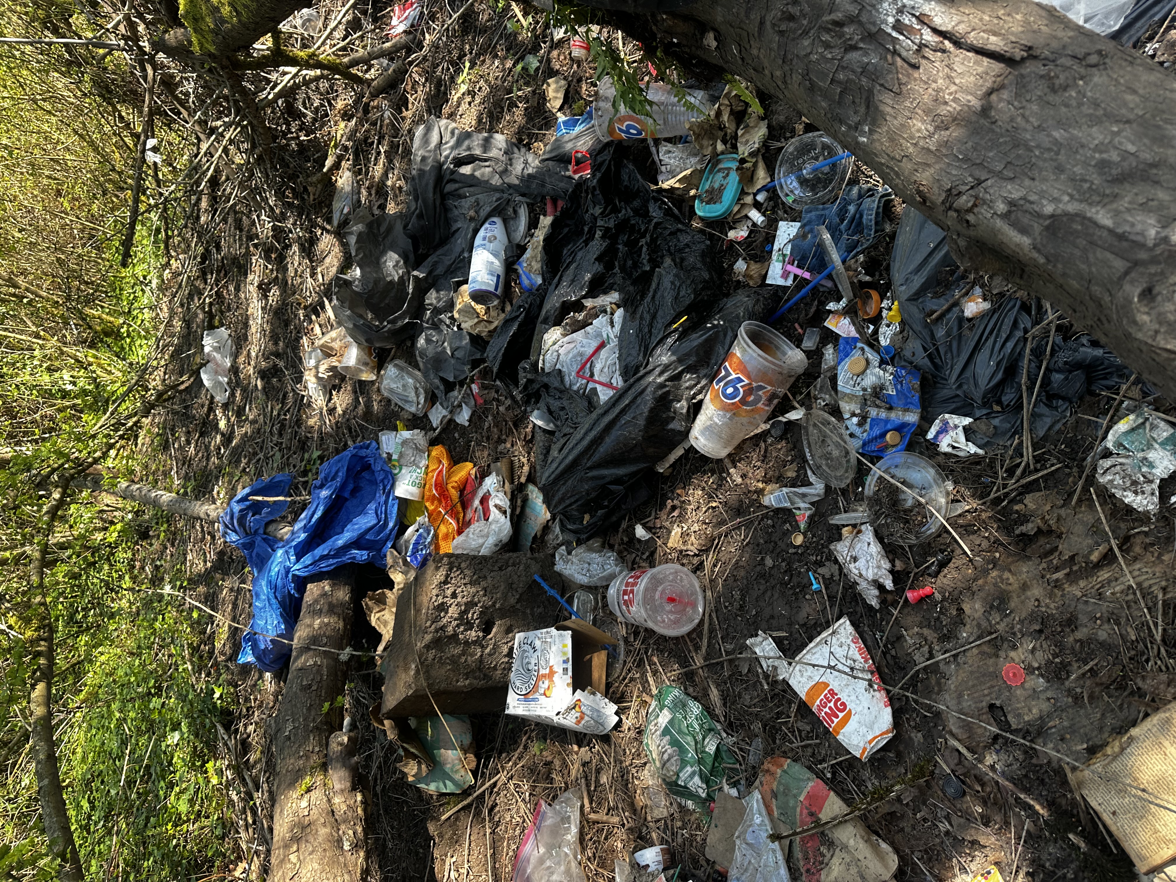 Campsite Dogwood Park on Kellogg Lake : Biohazards